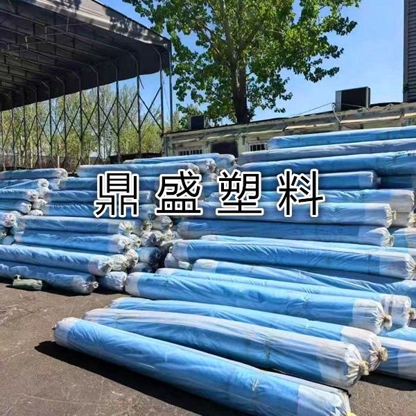 进口国标大棚膜加厚葡萄