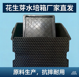 加厚塑料黑色花生芽水培育苗专用生长箱蔬菜种植撒播长条点播穴盘