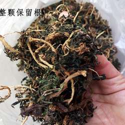 野生苦菜茶50克苦麻子干带根自然晾晒苦碟子 蛇虫苗男女茶送父母