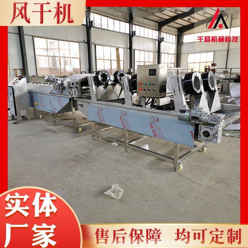 不锈钢风干流水作业线 芸豆清洗风干机设备 果蔬沥水风干设备