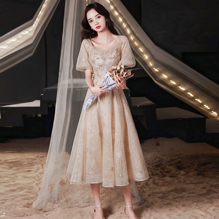 成人礼钢琴古筝音乐生艺考礼服裙