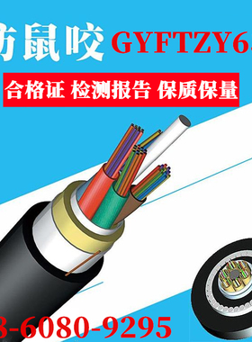 防鼠咬GYFTZY63-8B1非金属阻燃光缆36B1/24B1/12B1.3玻璃纱光纤线