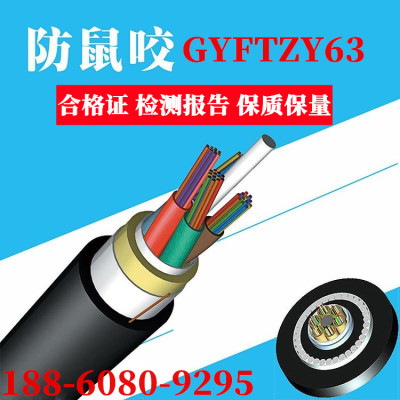 防鼠咬GYFTZY63玻璃纱光纤线厂家