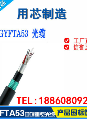 GYFTA53-36B1.3双铠双护直埋光缆48B1 96B1 24B1 12B1 72芯光纤线