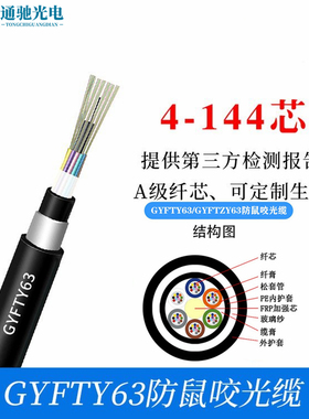 48芯防鼠咬防雷击GYFTY63/GYFTZY63-48B1非金属无铠阻燃导引光缆