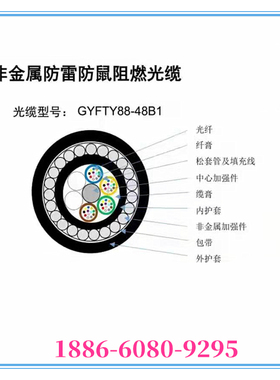 防鼠咬ADSS光缆24芯GYFTZY63-48B1单模光纤GYFTY88-36芯防雷室外