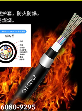GYFTY63/GYFTZY63-4B1 8B1 12B1 16B1 24B1 36B1 48B1防鼠咬光缆