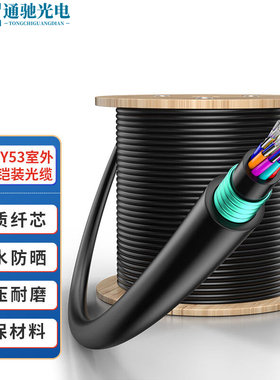 GYFTY53/GYFTZY53-16B1.3 层绞12芯24单模光纤非金属地埋阻燃光缆