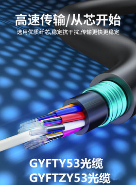 GYFTY53-16B1非金属阻燃16芯光缆GYFTZY53-16B1铠装阻燃16芯光纤