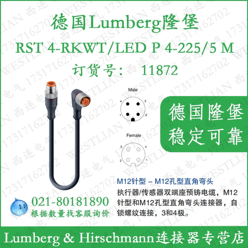 隆堡lumberg预铸线带灯LED双端