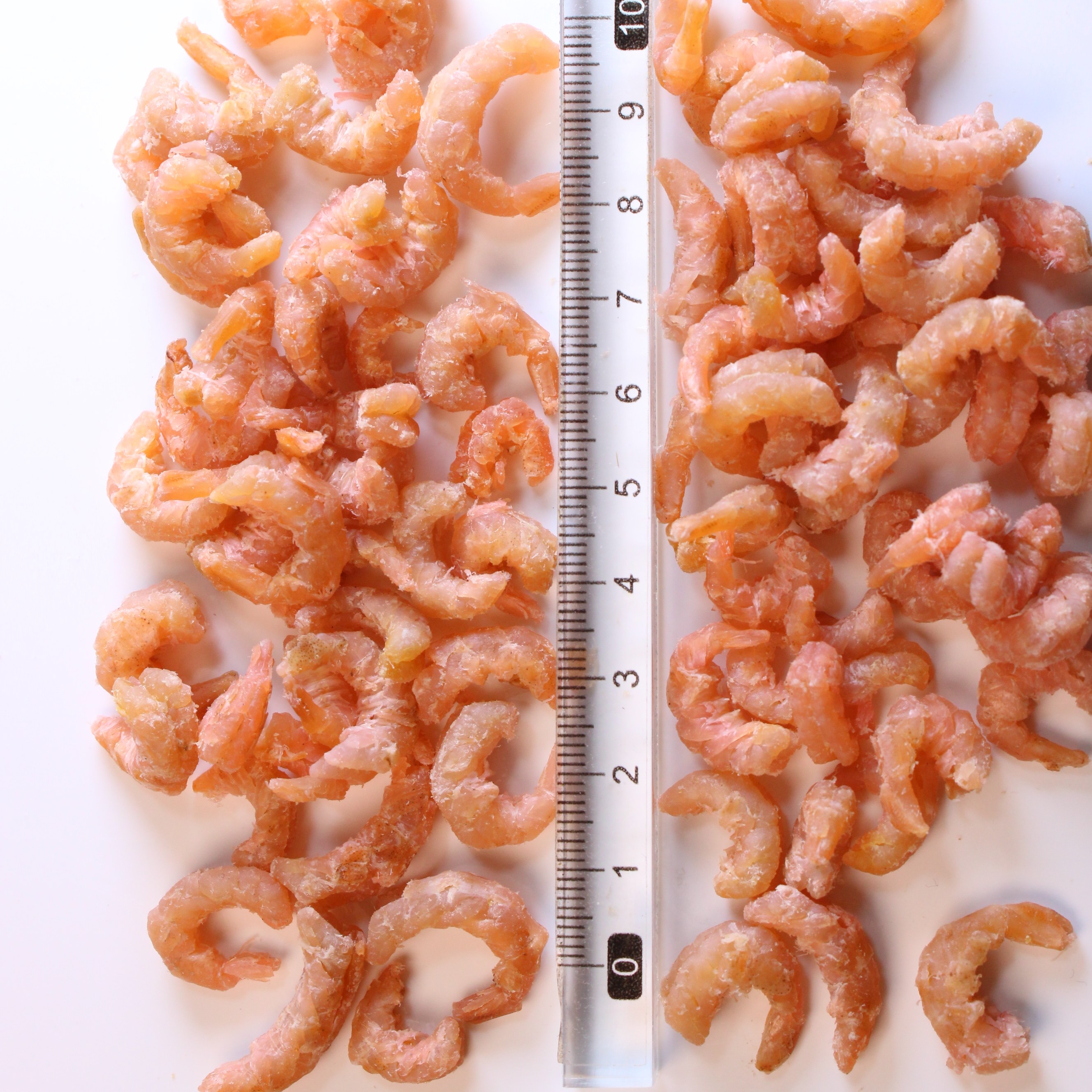 开洋虾米咸海米海鲜虾仁海虾海产新鲜当季新货咸货虾尾劲道海干货