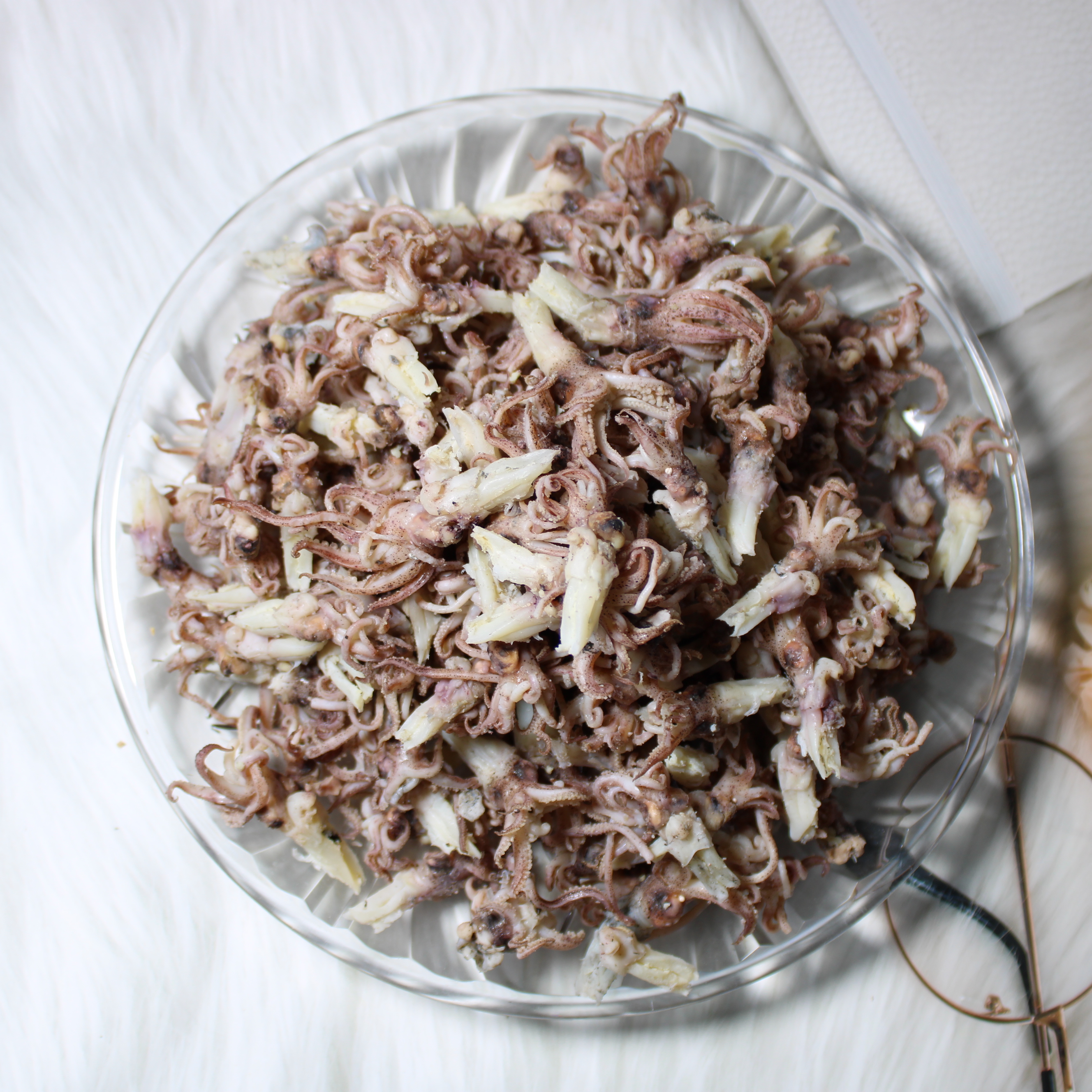 苏北海兔头籽乌头鱿鱼头墨鱼头笔管鱼乌子头小乌头大乌头当季新货