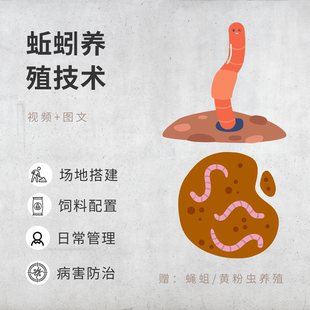 蚯蚓养殖技术视频教程人工高效地龙饲养地鳖虫日常管理蝇蛆黄粉虫