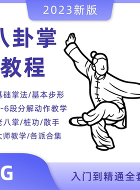 八卦掌视频教程掌法基础教学段位基本动作自学入门实战武当形意