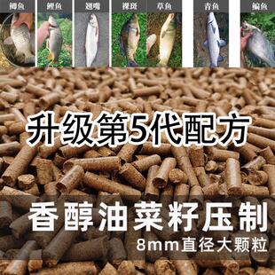 菜籽饼窝料隔夜邓刚鲫鱼饵料钓鱼菜子饼打窝料野钓底窝料