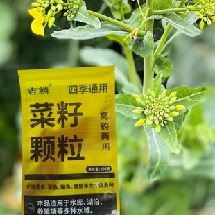 菜籽饼钓鱼窝料隔夜野钓油菜籽饼颗粒油枯野饵料户外鱼饵