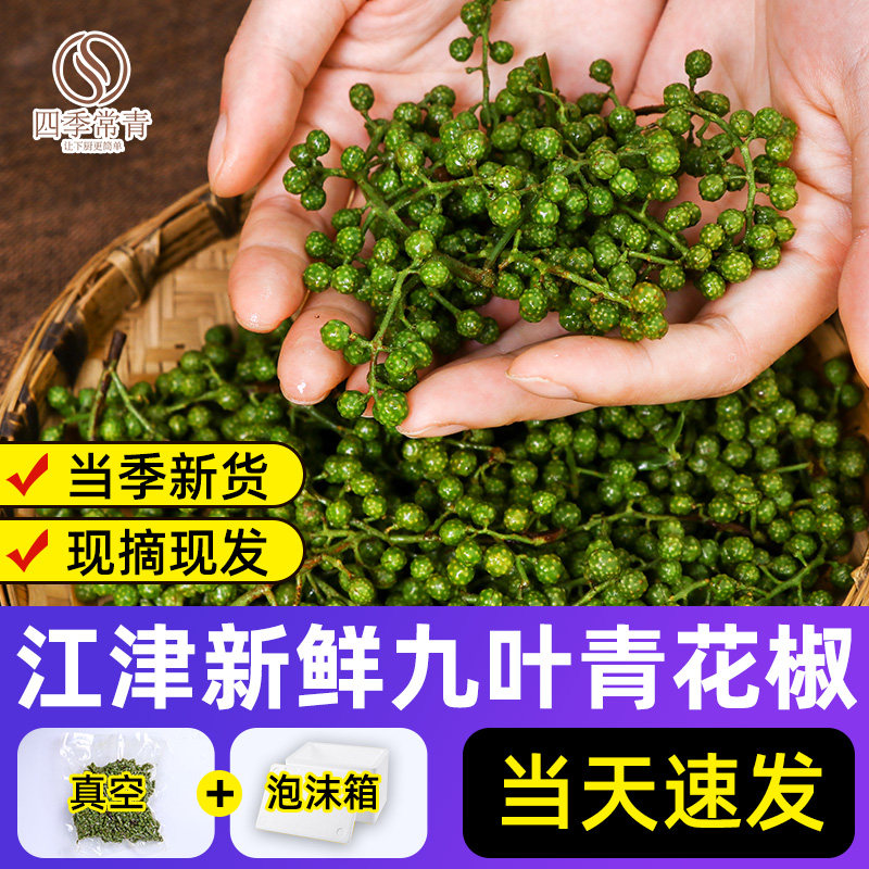 新鲜青花椒真空保鲜350g 重庆江津九叶青藤椒花椒现摘四川 鲜花椒