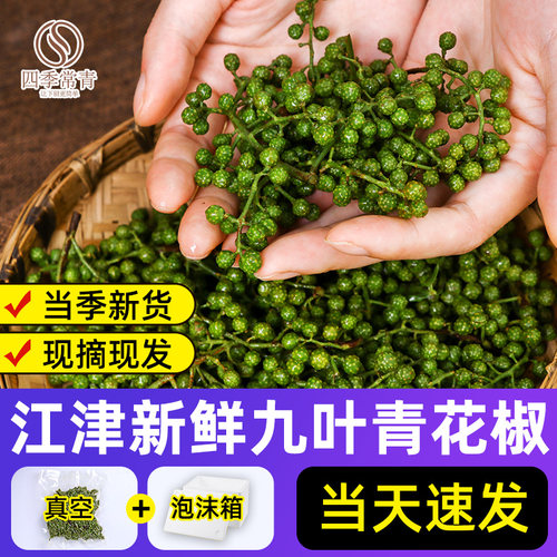 青花椒新鲜真空保鲜350g袋装