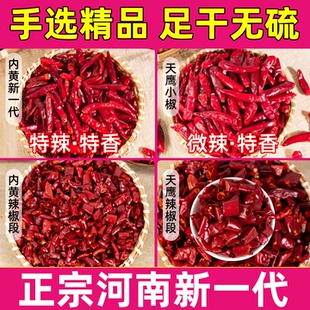 河南内黄新一代干辣椒特辣特香微辣天鹰小椒无籽干辣椒段皮厚卤肉