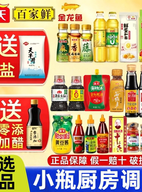 调料组合小瓶一人食自选海天便携