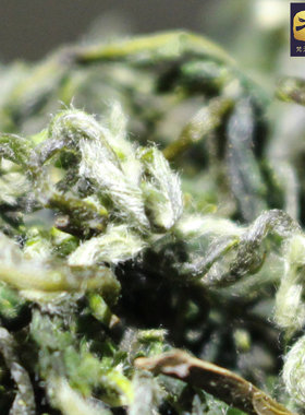 贵州印江半手工梵净山毛峰绿茶传统工艺农家炒青茶叶