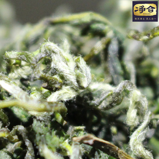 贵州印江半手工梵净山毛峰绿茶传统工艺农家炒青茶叶