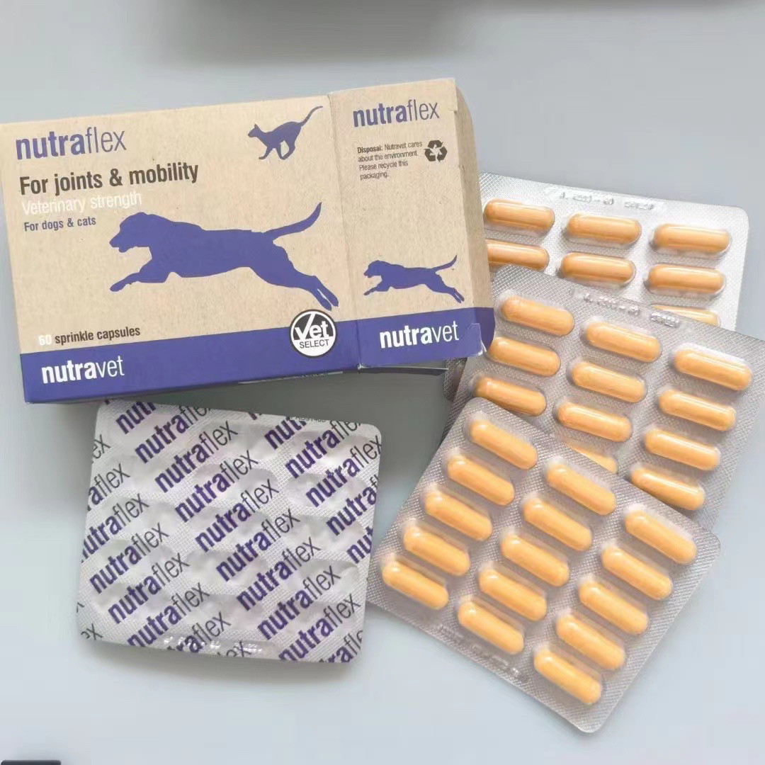 nutraflex 琉琗飞力英国进口琉琗飞力维护犬猫关节健康保健图片