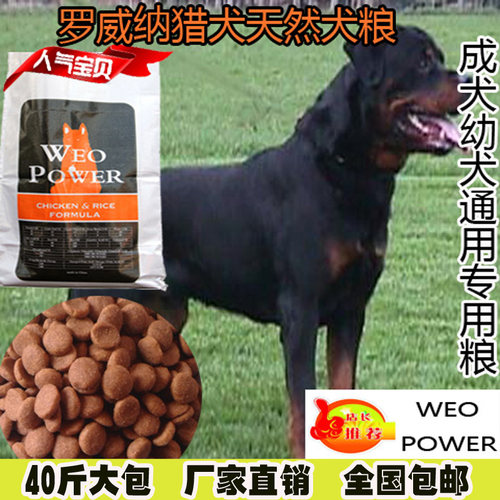 成犬藏獒松狮高加索罗威纳幼犬