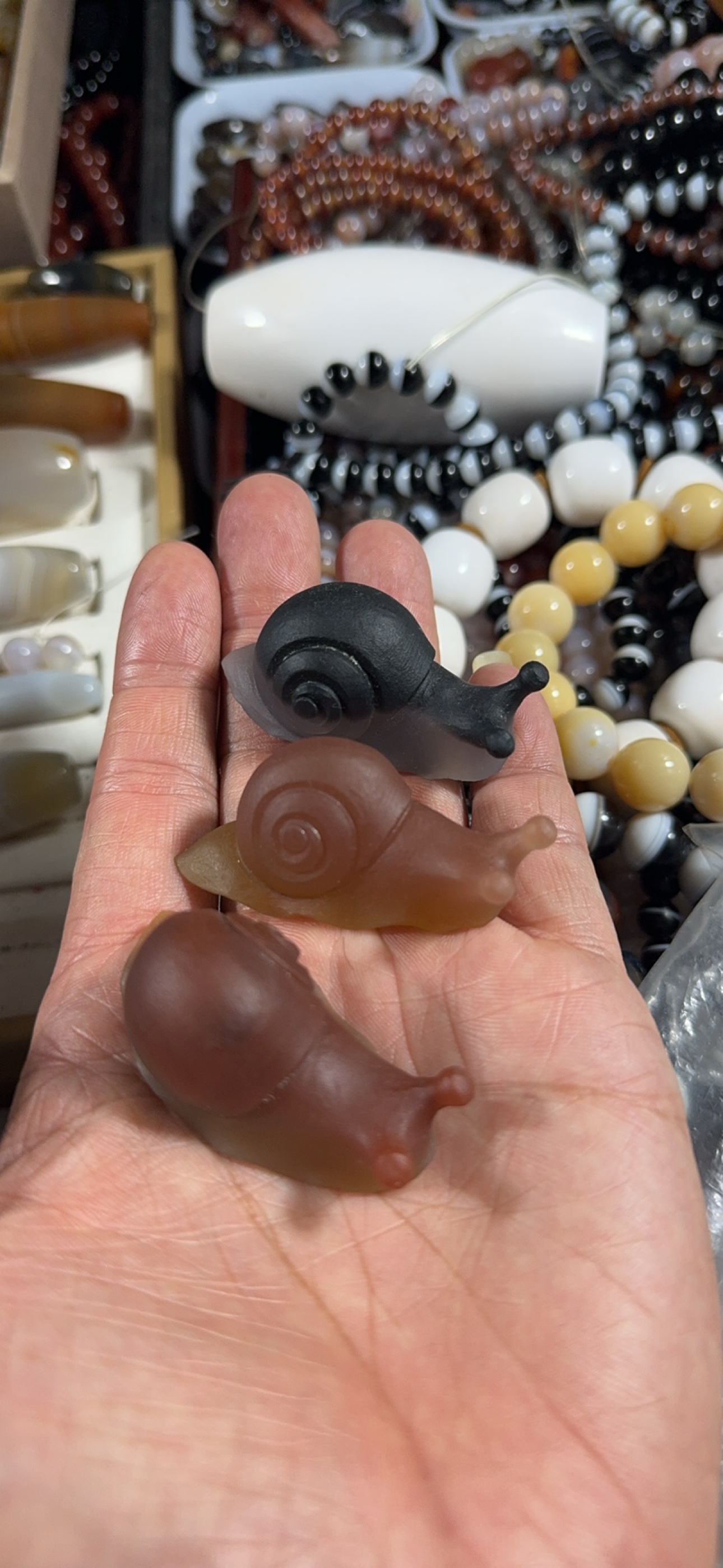 天然巧色蜗牛（下单备注选那个，或随机）