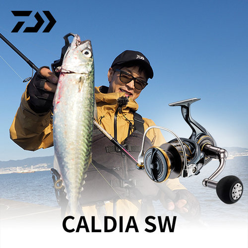 达亿瓦CALDIASW海钓铁板轮