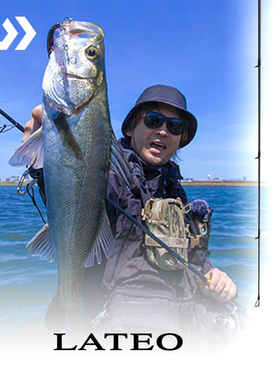 DAIWA达亿瓦 24新款LATEO 拉提奥海鲈竿岸钓翘嘴竿远投路亚杆鳜鱼