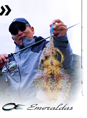 DAIWA达亿瓦 EMERALDAS STOIST ST/RT 鱿鱼竿木虾钓杆E妹路亚竿