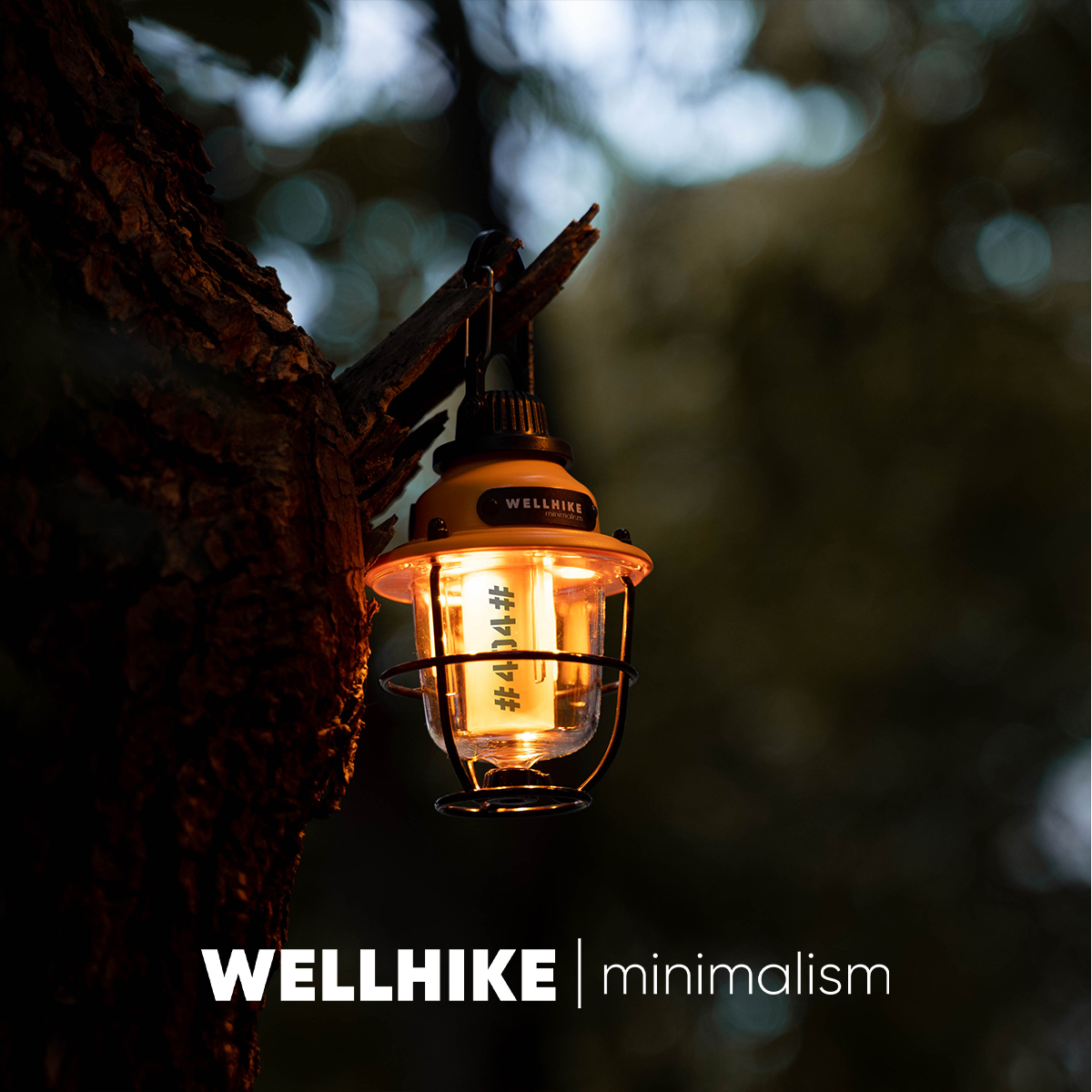 WELLHIKE户外露营锁扣松果灯40h超长续航 手提营地氛围照明迷你灯