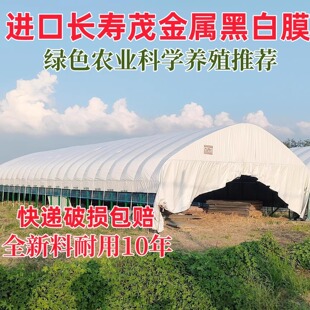 养殖专用膜黑白膜消雾PO膜大棚塑料膜无滴膜透明加厚塑料布大棚膜