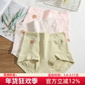 全棉大码 包臀60支纯棉 高腰收腹胖mm200斤短裤 抗菌内裤 女2023新款