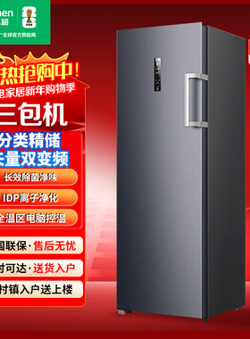 Ronshen/容声BD-240WPRSY240L家用抽屉冰柜立式冷柜单门式三包机