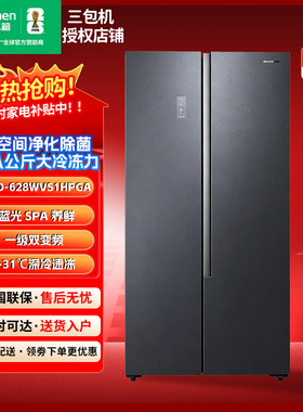 Ronshen/容声 BCD-628WVS1HPGA蓝光一级变频除菌净化冰箱三包机