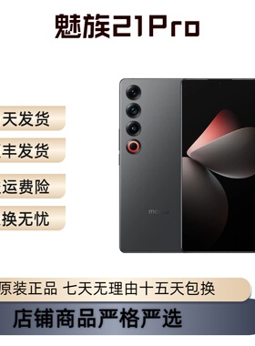 Meizu/魅族 魅族 21 PRO