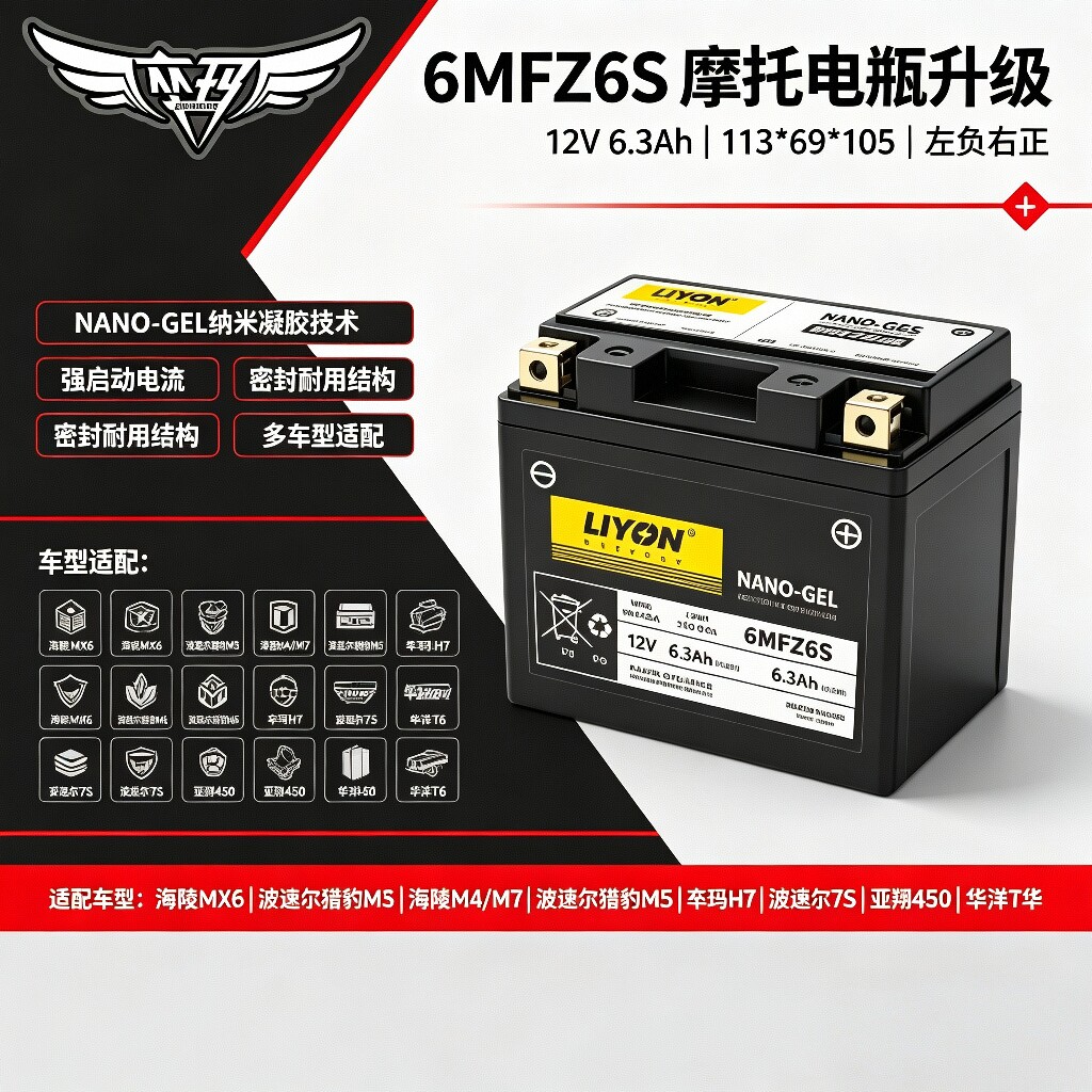 力扬大容量摩托车电瓶适配卒玛H7/波速尔7S/华洋T4/T6铅酸电池