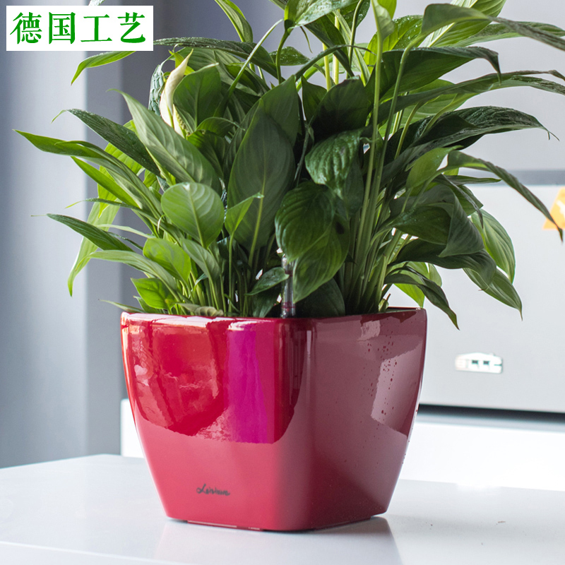 莱之秀吸水懒人大号绿萝塑料花盆