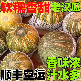 新疆老汉瓜正宗老品种甜瓜软糯香甜冰淇淋口感新鲜水果顺丰空运