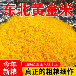 益康莱东北黄金米正宗东北黑龙江特产新米五谷金米粗米杂粮玉米碴