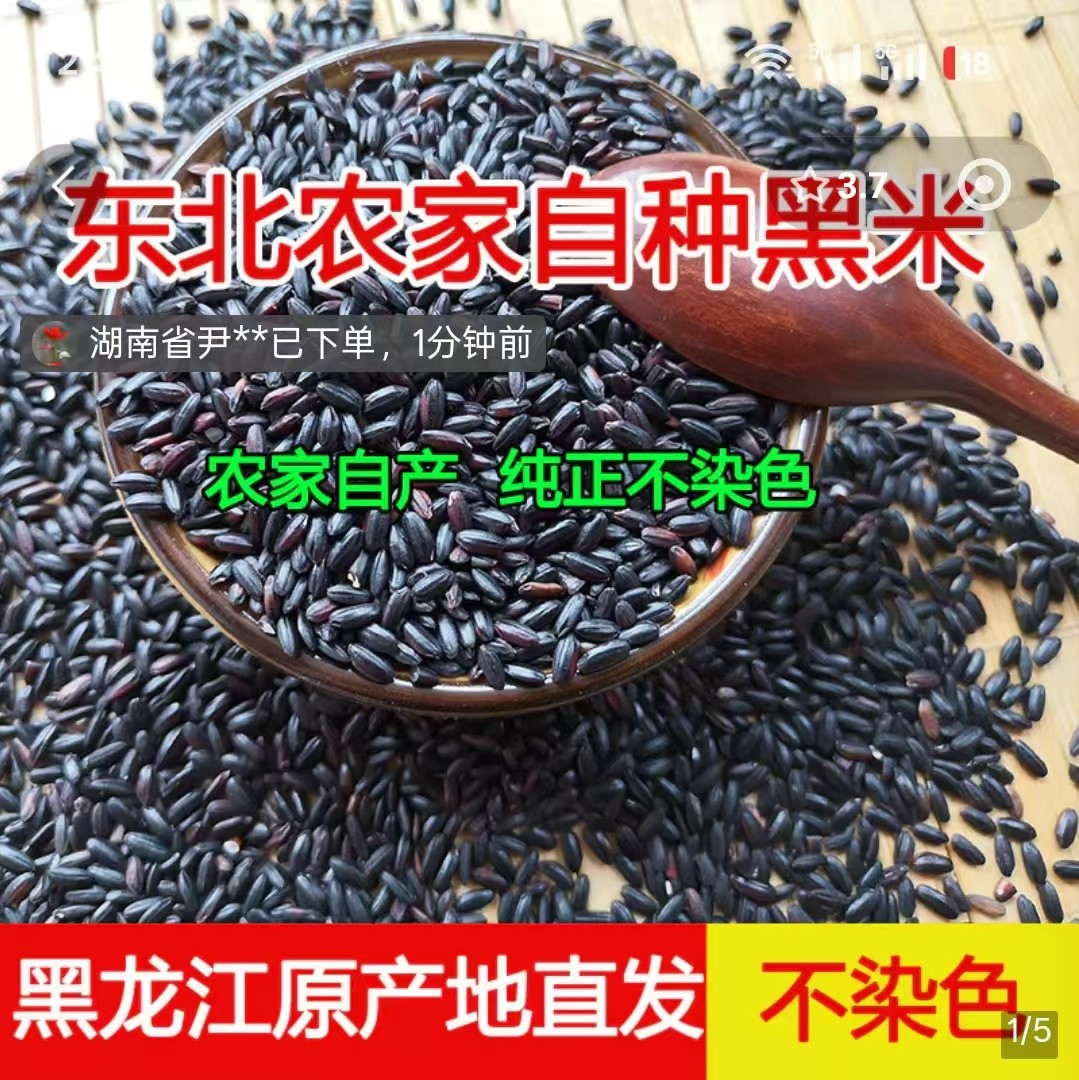 黑米东北农家自种不染色黑大米现