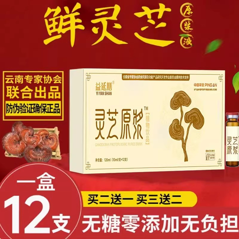 鲜灵芝精粹液浓缩型无糖灵芝液