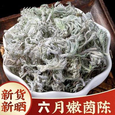 六月茵陈茶2026年新货新鲜棉茵陈