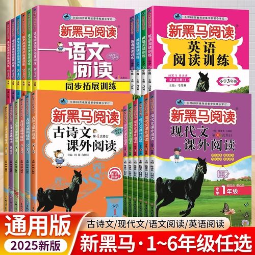 新黑马阅读现代文古诗文英语2024