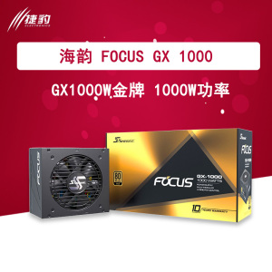 （绝版）FOCUS海韵电源GX1000W金牌全模组台式机电脑80plus