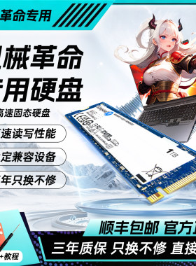 机械革命专用笔记本m2固态硬盘1t