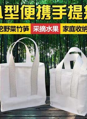 小型便携手提袋长方形野菜竹笋