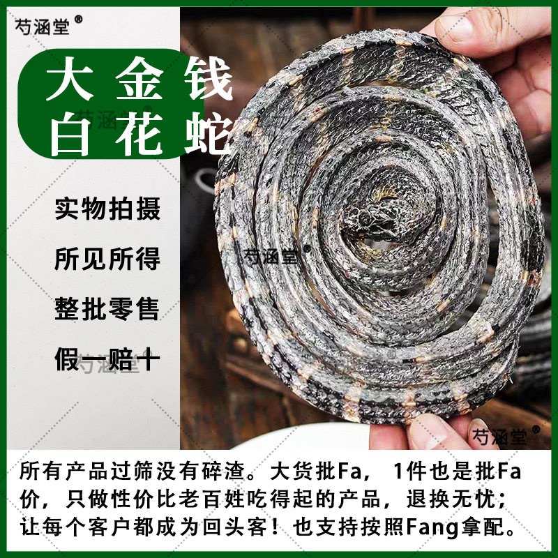 正宗银环蛇 中药小金钱白花蛇大白花蛇大金钱白花蛇 银环蛇赤链蛇